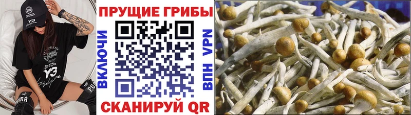 Галлюциногенные грибы Magic Shrooms  Купить закладки  Микунь 